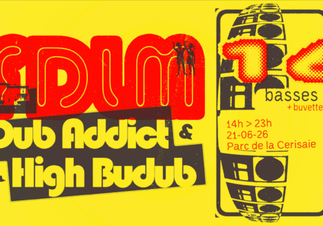 FDLM